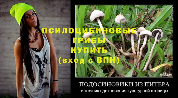 ECSTASY Балабаново