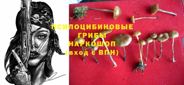 ECSTASY Балабаново