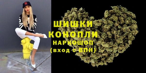 молекула духа Белоозёрский
