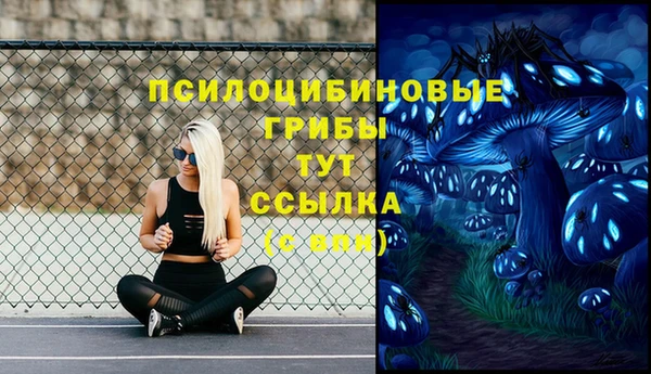 скорость Баксан