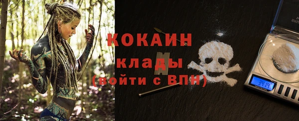 молекула духа Белоозёрский