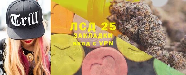 ПСИЛОЦИБИНОВЫЕ ГРИБЫ Белокуриха