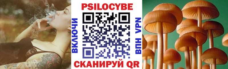 где купить наркотик Темников Галлюциногенные грибы прущие грибы